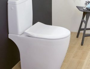 WhatsApp Image 2025-12-15 at 10.43.54 AM